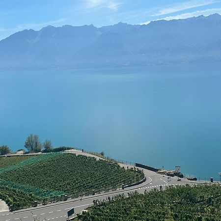 Room With 360° View Overlooking Lake Geneva And Alps Puidoux ภายนอก รูปภาพ