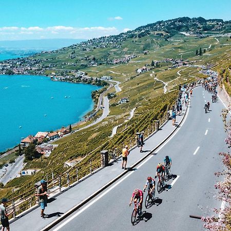 Room With 360° View Overlooking Lake Geneva And Alps Puidoux ภายนอก รูปภาพ