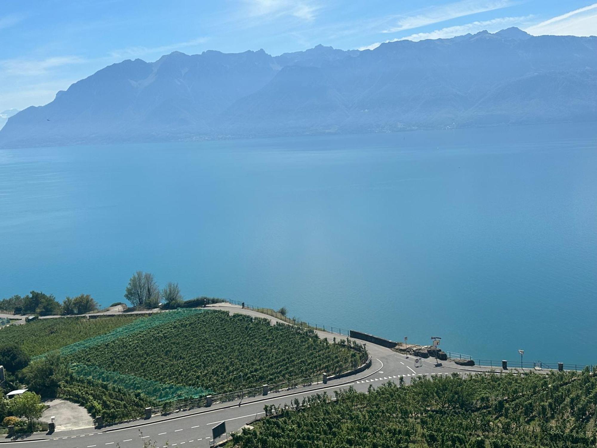 Room With 360° View Overlooking Lake Geneva And Alps Puidoux ภายนอก รูปภาพ